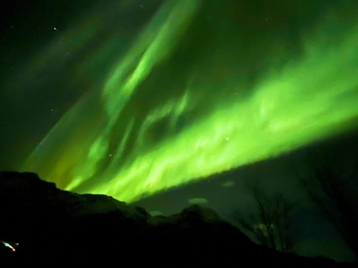 Lofoten Glampingdome Myrland ภายนอก รูปภาพ