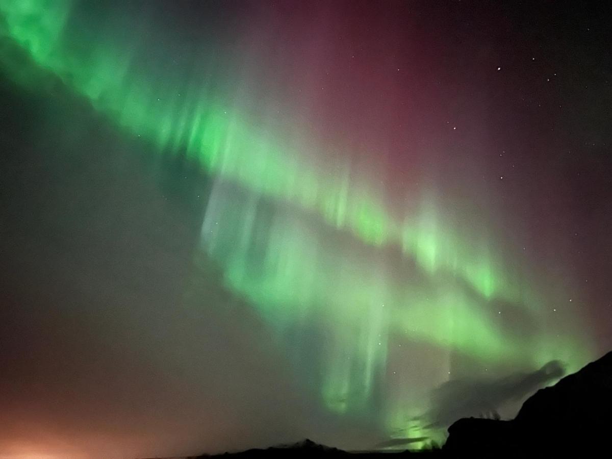 Lofoten Glampingdome Myrland ภายนอก รูปภาพ