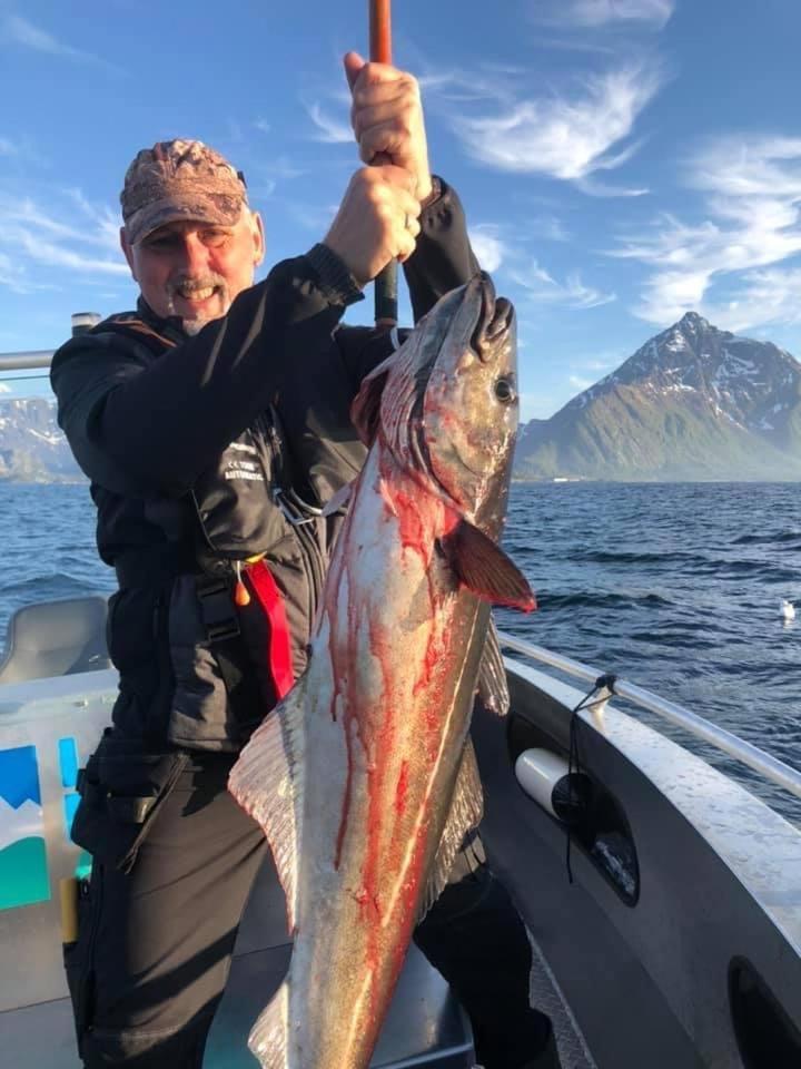 Lofoten Glampingdome Myrland ภายนอก รูปภาพ