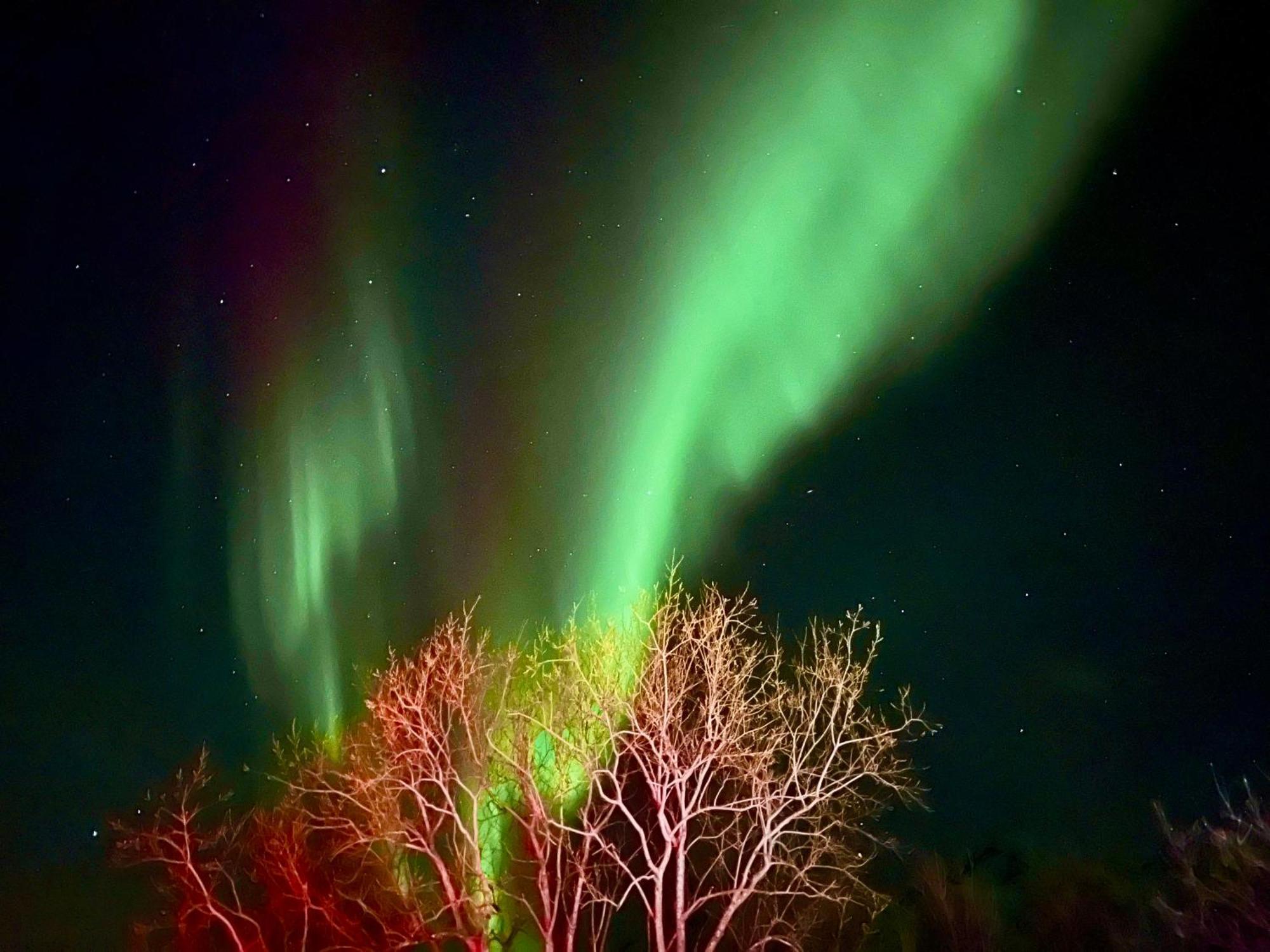 Lofoten Glampingdome Myrland ภายนอก รูปภาพ
