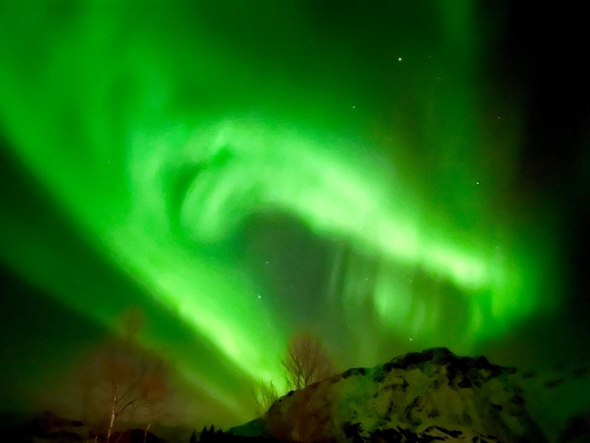 Lofoten Glampingdome Myrland ภายนอก รูปภาพ