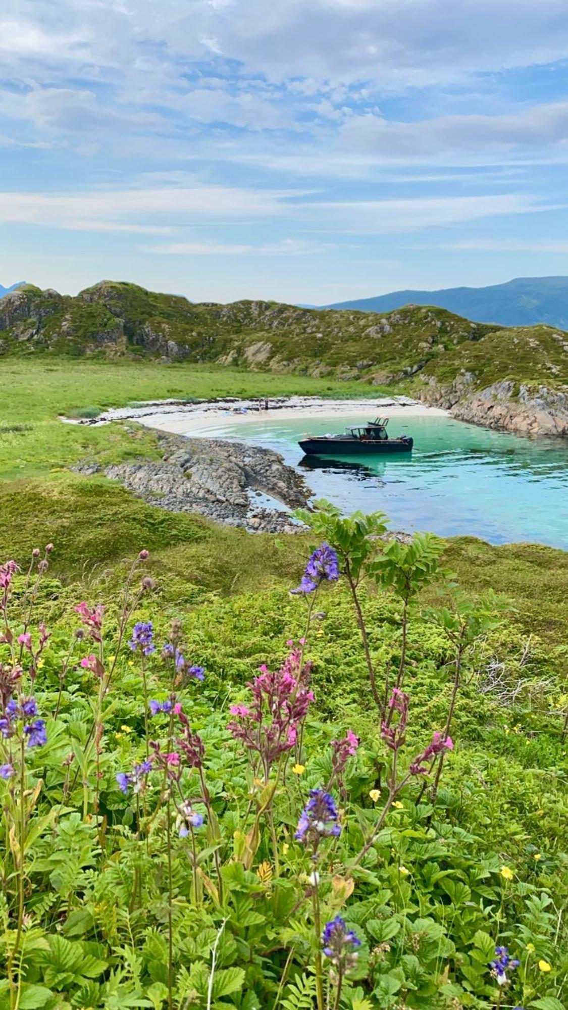 Lofoten Glampingdome Myrland ภายนอก รูปภาพ